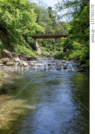 新緑に包まれた渓流と橋のある風景 新緑に包まれた渓流と橋のある風景 115765178