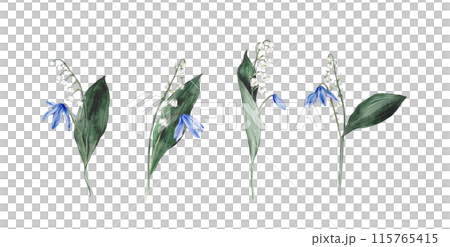 Set of bouquet of the light blue scillas and white lilies of the valley - first spring flowers with green leafs. Watercolor botanical illustration of lilac flowers. Hand drawn isolated on background. Set of bouquet of the light blue scillas and white lilies of the valley - first spring flowers with green leafs. Watercolor botanical illustration of lilac flowers. Hand drawn isolated on background. 115765415