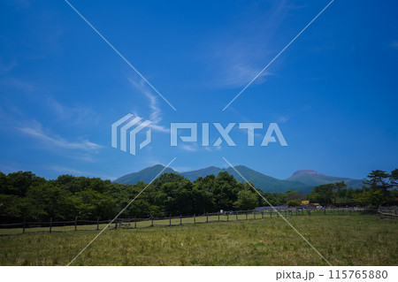 青空澄み渡る高原での写真 青空澄み渡る高原での写真 115765880