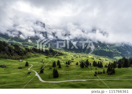 Small road in Grindelwald 115766361