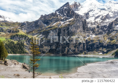 Oeschinensee Lake View 115766422