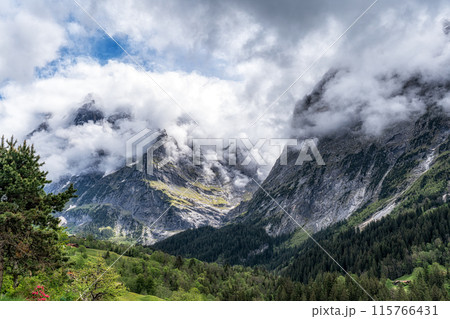 Alpine mountain tops in Grindelwald Alpine mountain tops in Grindelwald 115766431