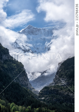 Juingfrau mountain region 115766436