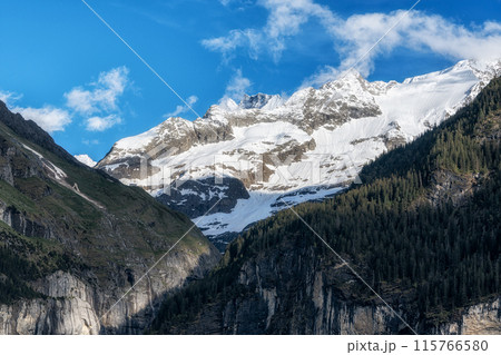 Bernese alps viewed from Grindelwald Bernese alps viewed from Grindelwald 115766580