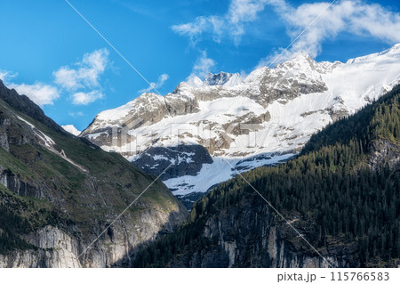 Bernese alps viewed from Grindelwald 115766583