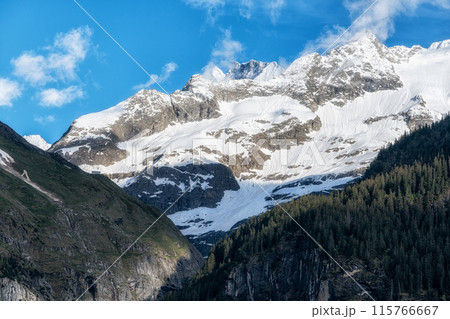 Bernese alps viewed from Grindelwald Bernese alps viewed from Grindelwald 115766667
