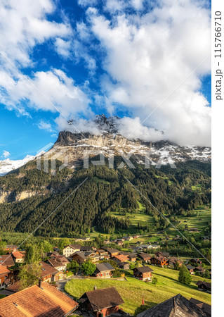 Eiger Mountain View Eiger Mountain View 115766710