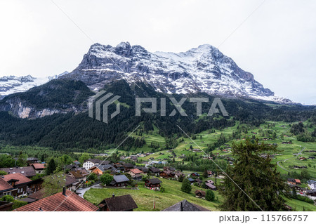 Eiger Mountain View 115766757