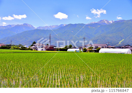 長野県伊那市美篶より木曽駒ヶ岳方面を望む(長野県伊那市)【2024.6】 長野県伊那市美篶より木曽駒ヶ岳方面を望む(長野県伊那市)【2024.6】 115766847
