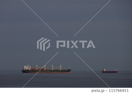 Container ships in the Black Sea, bay of Varna Container ships in the Black Sea, bay of Varna 115766951