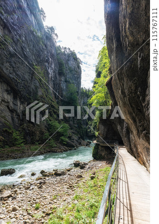 Aare Gorge in Switzerland Aare Gorge in Switzerland 115767111
