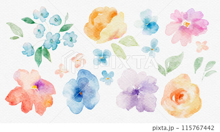 Beautiful floral set with watercolor hand drawn gentle autumn fall flowers. Stock floral illustration. Nature clip art. Beautiful floral set with watercolor hand drawn gentle autumn fall flowers. Stock floral illustration. Nature clip art. 115767442