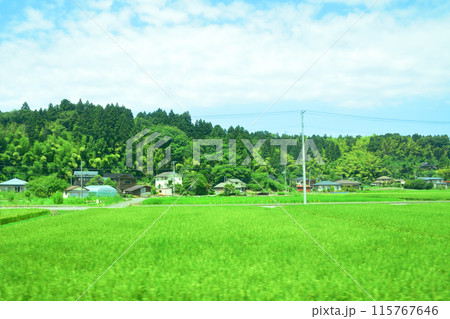 JR東日本越後線刈羽駅から寺泊駅までの車窓風景(2022年夏) JR東日本越後線刈羽駅から寺泊駅までの車窓風景(2022年夏) 115767646