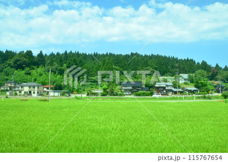JR東日本越後線刈羽駅から寺泊駅までの車窓風景(2022年夏) 115767654