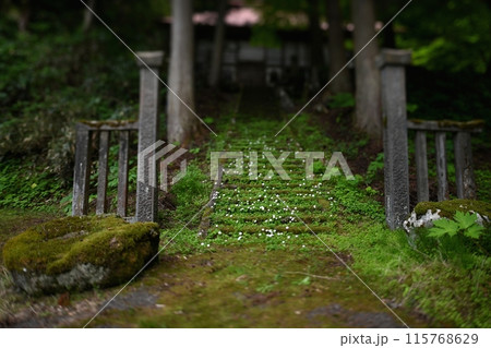 古寺の石段 115768629