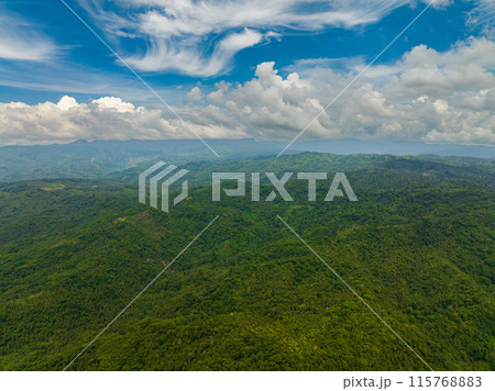 Tropical mountain slopes with greenery trees. Blue sky and clouds. Mindanao, Philippines. 115768883