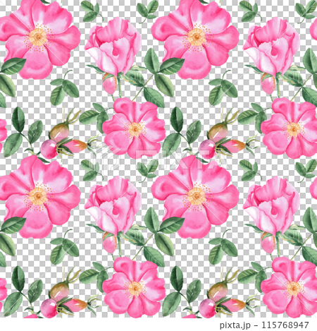 Dog rose Floral Watercolor seamless pattern on white background. Hand drawn botanical illustration. Rose hip flowers, buds, branches and berries. Can be used for fabric, textile, packaging prints Dog rose Floral Watercolor seamless pattern on white background. Hand drawn botanical illustration. Rose hip flowers, buds, branches and berries. Can be used for fabric, textile, packaging prints 115768947