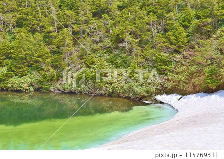 エメラルドグリーンのメガネ沼　秋田 115769311