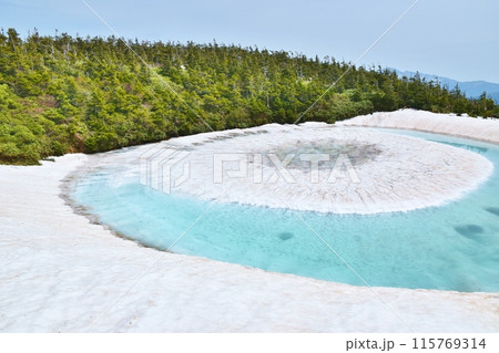 開眼したドラゴンアイ 秋田 開眼したドラゴンアイ 秋田 115769314