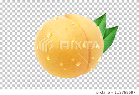 金桃插畫現實白色背景 金桃插畫現實白色背景 115769697