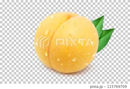 黄金桃 イラスト リアル 白バック 115769709