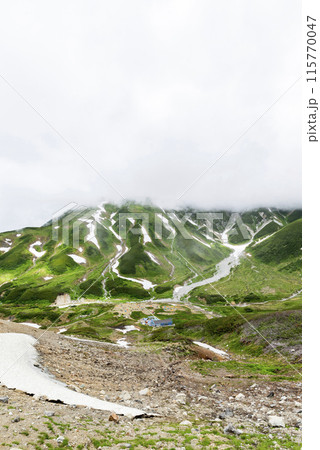雷鳥沢キャンプ場に続く登山道 富山県立山町 雷鳥沢キャンプ場に続く登山道 富山県立山町 115770047