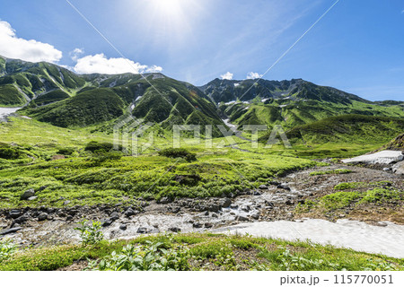 雷鳥沢キャンプ場から臨む称名川と立山連峰　富山県立山町 115770051