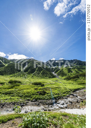 雷鳥沢キャンプ場から臨む称名川と立山連峰 富山県立山町 雷鳥沢キャンプ場から臨む称名川と立山連峰 富山県立山町 115770052