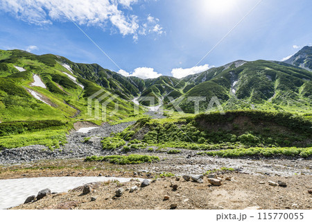 雷鳥沢キャンプ場から臨む称名川と立山連峰　富山県立山町 115770055