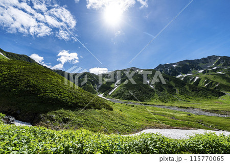 剣御前小屋へ続く登山道から望む立山連峰　富山県立山町 115770065