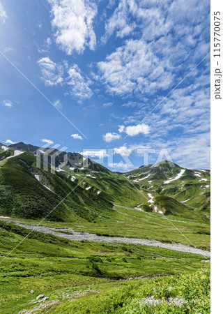 剣御前小屋へ続く登山道から望む立山連峰 富山県立山町 剣御前小屋へ続く登山道から望む立山連峰 富山県立山町 115770075