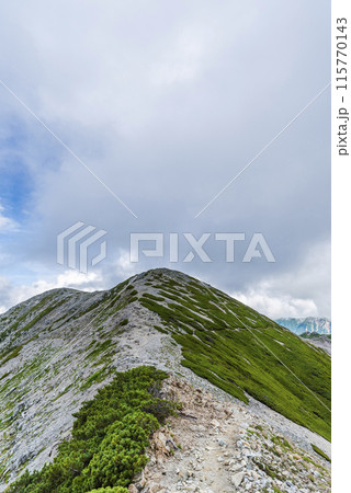 別山へ続く登山道　富山県立山町 115770143