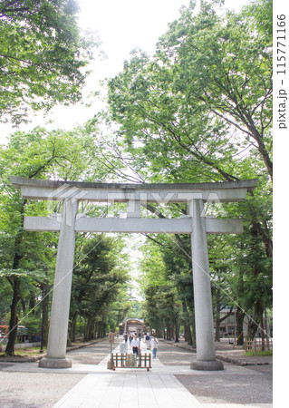 大國魂神社 115771166