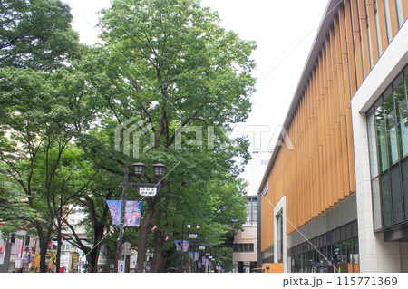 府中駅前、けやき並木通り 115771369