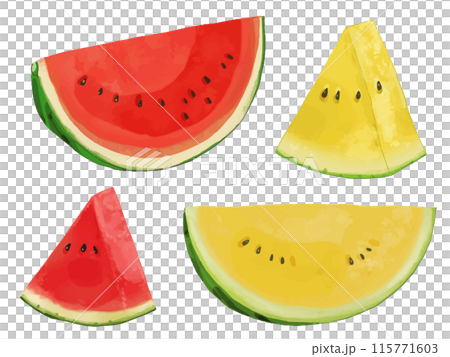 水彩スイカ 115771603