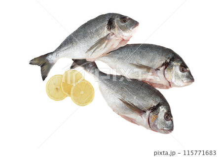 Three raw scrubbed fish and lemon circles on white background. 115771683
