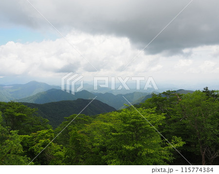 初夏の山 初夏の山 115774384