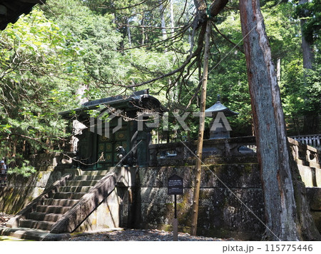 徳川家康 115775446