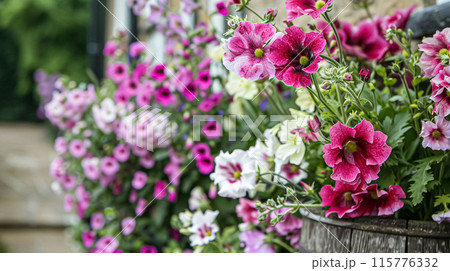 Details and products on shelves in the English counryside farm shop, small business, country style design Details and products on shelves in the English counryside farm shop, small business, country style design 115776332