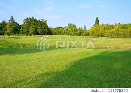 人無し　起伏激しいゴルフ場　初夏の風景　　　　 115776899