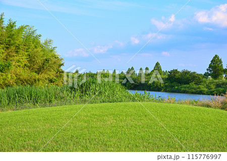 荒川の流れが見える ゴルフ場 初夏の風景 荒川の流れが見える ゴルフ場 初夏の風景 115776997