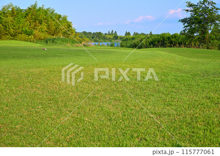 荒川の流れが見える ゴルフ場 初夏の風景 荒川の流れが見える ゴルフ場 初夏の風景 115777061