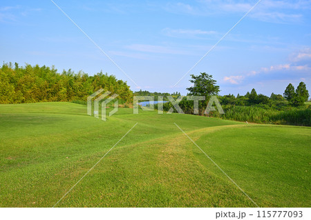荒川の流れが見える　ゴルフ場　初夏の風景　　　　 115777093
