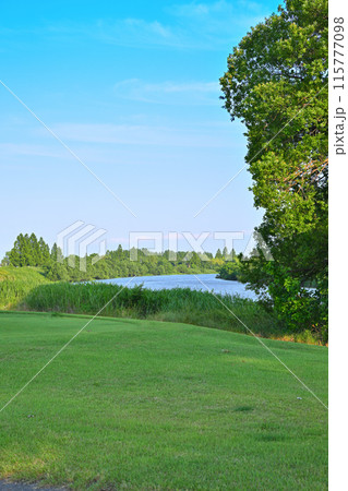 荒川の流れが見える ゴルフ場 初夏の風景 荒川の流れが見える ゴルフ場 初夏の風景 115777098
