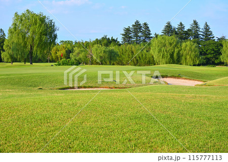 人無し 起伏激しいゴルフ場 初夏の風景 人無し 起伏激しいゴルフ場 初夏の風景 115777113