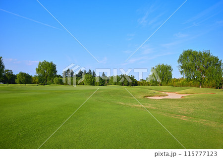 人無し 起伏激しいゴルフ場 初夏の風景 人無し 起伏激しいゴルフ場 初夏の風景 115777123