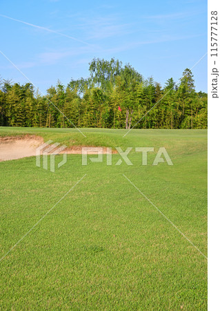 人無し 起伏激しいゴルフ場 初夏の風景 人無し 起伏激しいゴルフ場 初夏の風景 115777128