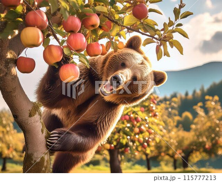 熊による農作物被害 115777213