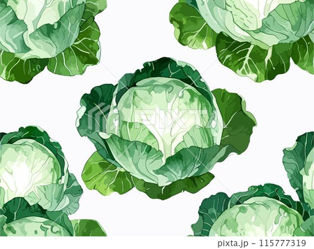 水彩で描いたキャベツのイラスト Generative AI 115777319