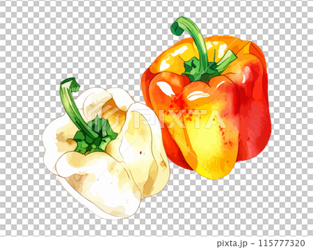 Watercolor illustration of paprika Generative AI 115777320
